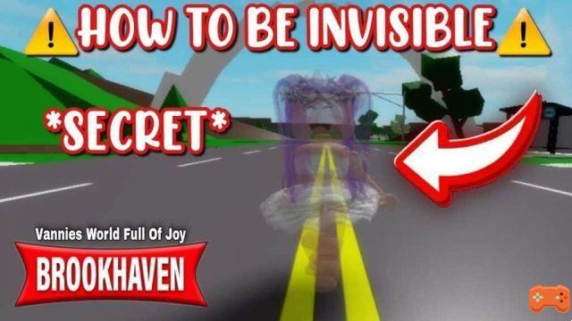 How to Be Invisible at Brookhaven