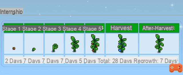 How to Get Ancient Fruits in Stardew Valley