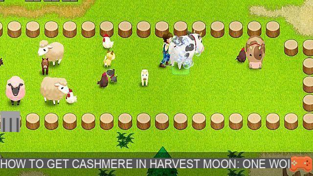 Harvest Moon: One World – Como obter cashmere