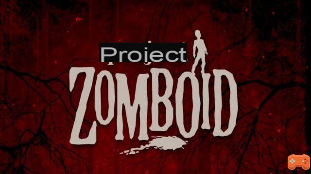 How to Get Rid of Nausea in Project Zomboid