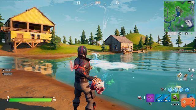 Fortnite: Relaunch a fish in the water, challenge and quest week 12