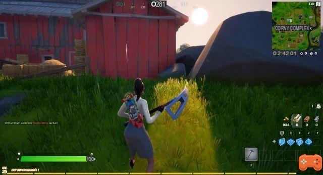 Where to put the cat food pallets in Fortnite?