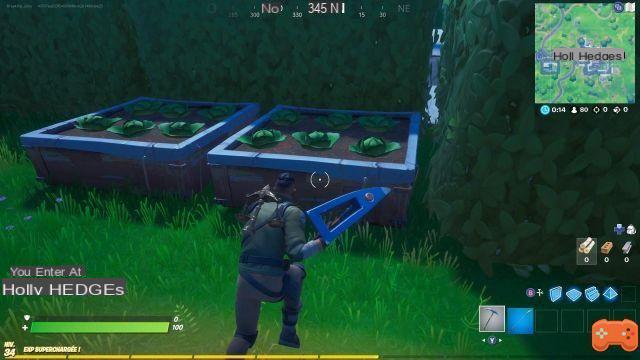 Fortnite: Consuming food collected from the field in Holly Hedges, challenge week 6