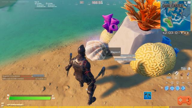 Fortnite: Report Coral Buddies, challenge and quest week 6 season 5