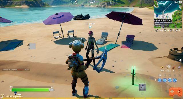 Speak to Sunny, Joey or Brutus of the Beaches in Fortnite, challenge season 7